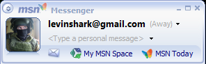 MSN profile screenshot
